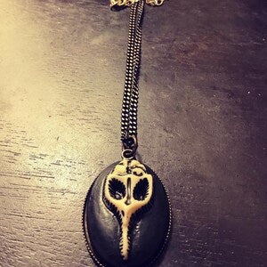 The Morbid Collection